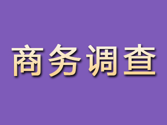 薛城商务调查